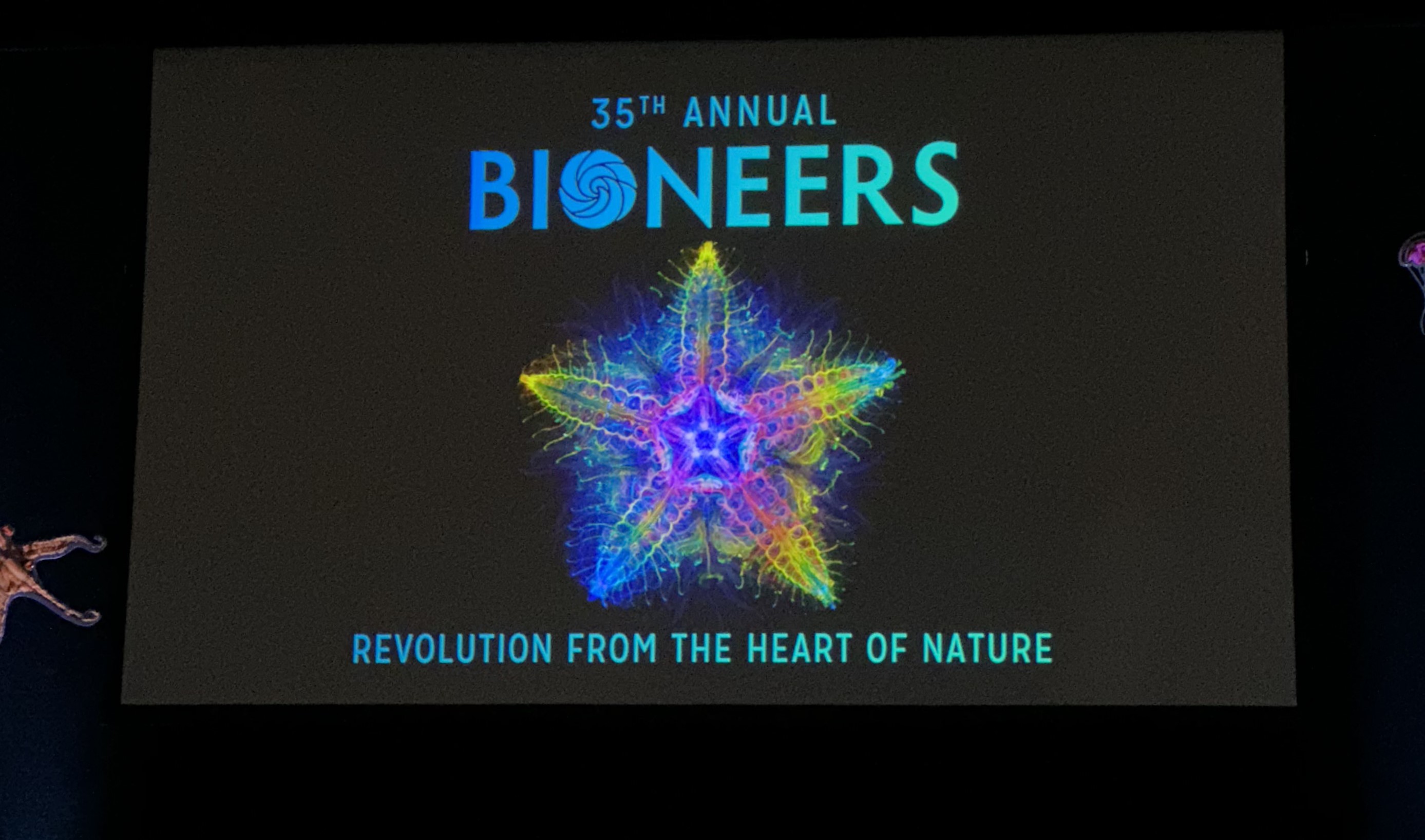 Image of the 35th Annual Bioneers Conference background.